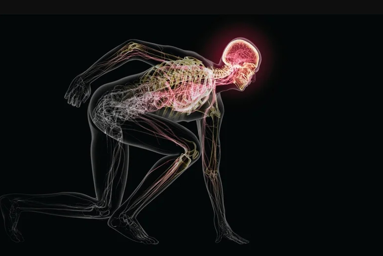 Мозг человека способен выполнять многозадачность во время ходьбы